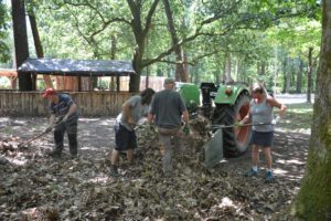 Nettoyage du bois pour troc & puces - Fêtes des Menhirs Languidic - Morbihan