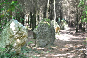 Les alignements en sous bois - Fête des Menhirs Languidic - Morbihan